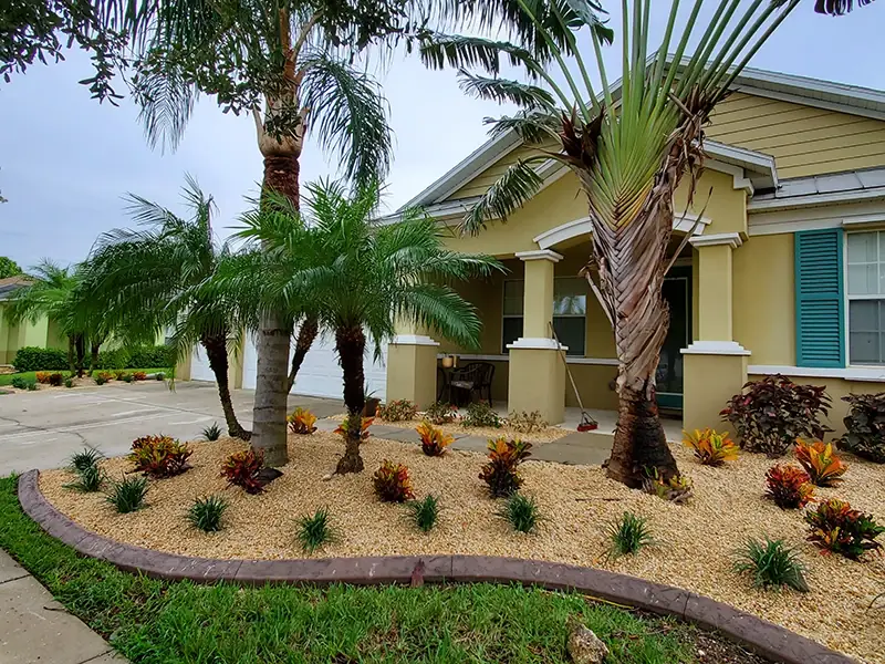 Front yard bed with palms, rock and stone edging in front of a yellow home
