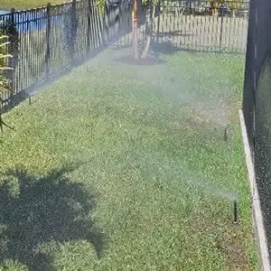 Sprinklers watering a lawn and young palms along a fence in a Tampa Bay backyard